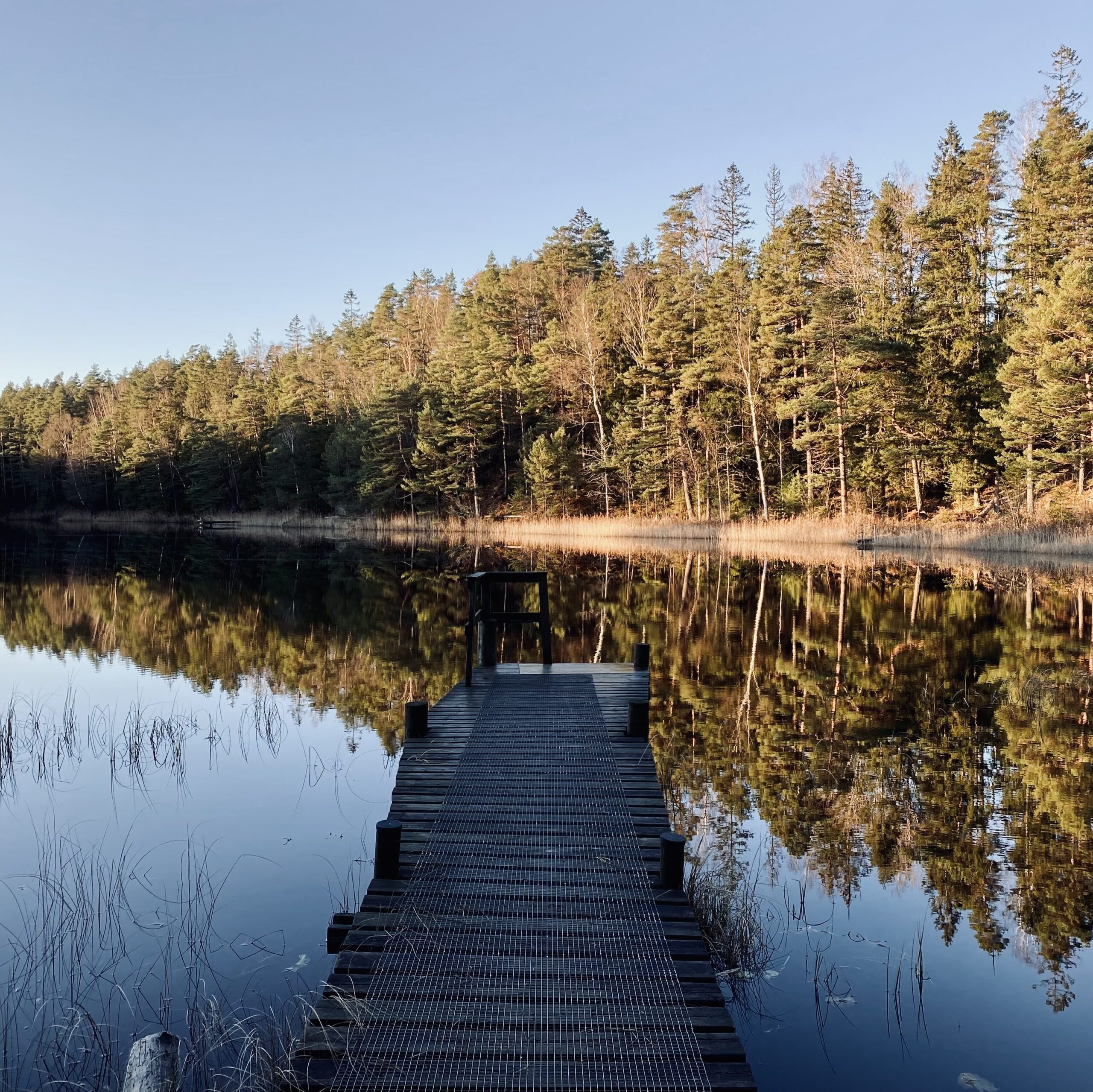 Affinity Yoga - Sjö i skog